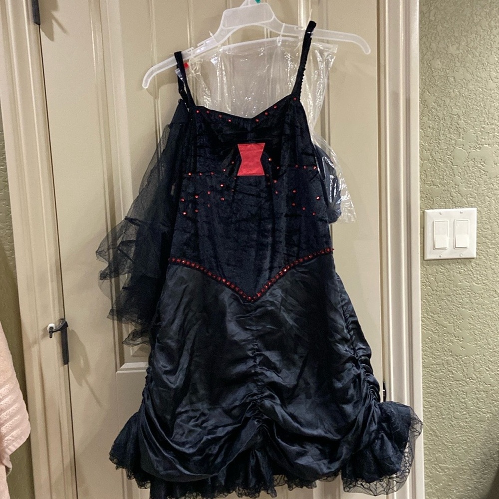 Lady of the Night Costume.  EUC!